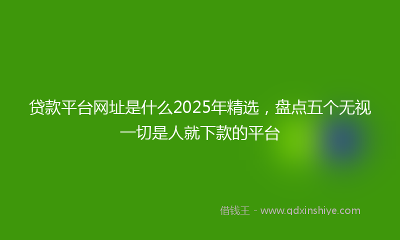贷款平台网址是什么2025年精选，盘点五个无视一切是人就下款的平台