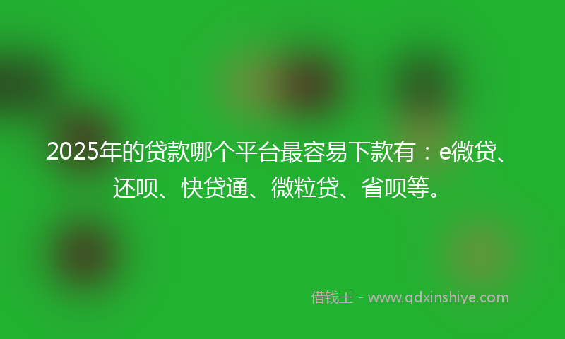 2025年的贷款哪个平台最容易下款有：e微贷、还呗、快贷通、微粒贷、省呗等。