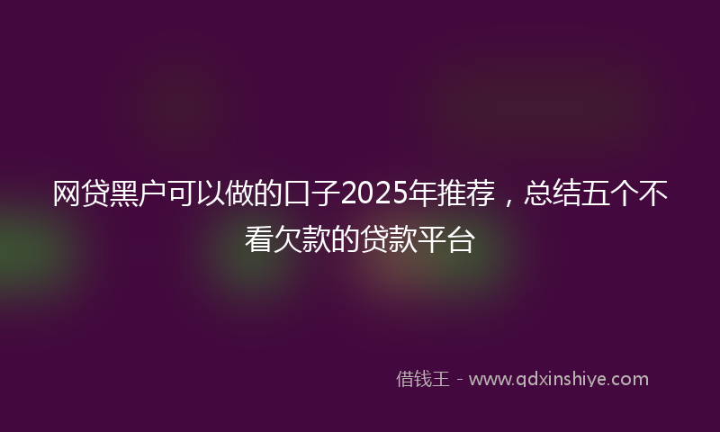 网贷黑户可以做的口子2025年推荐，总结五个不看欠款的贷款平台