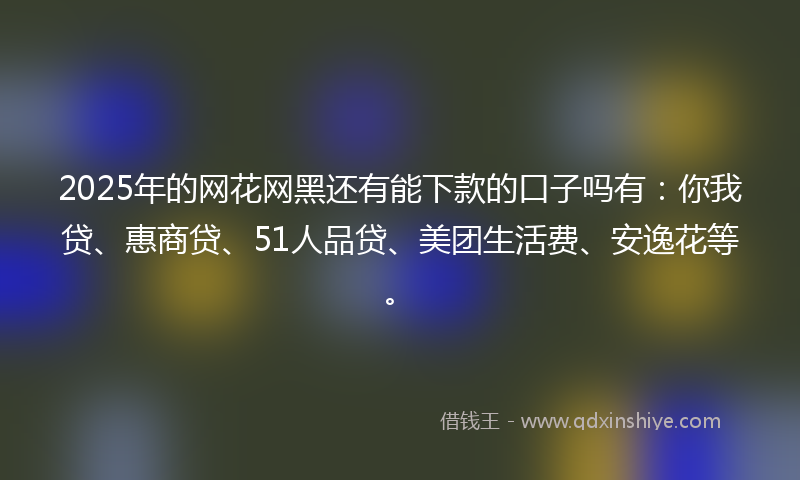2025年的网花网黑还有能下款的口子吗有：你我贷、惠商贷、51人品贷、美团生活费、安逸花等。