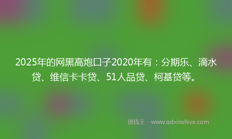 2025年的网黑高炮口子2020年有：分期乐、滴水贷、维信卡卡贷、51人品贷、柯基贷等。
