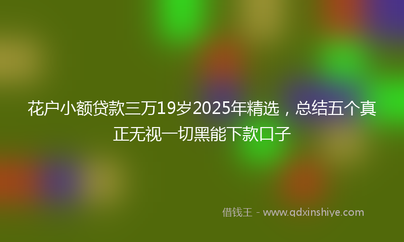 花户小额贷款三万19岁2025年精选，总结五个真正无视一切黑能下款口子