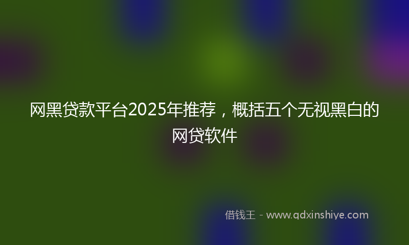 网黑贷款平台2025年推荐，概括五个无视黑白的网贷软件
