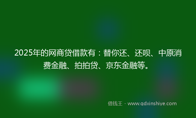 2025年的网商贷借款有：替你还、还呗、中原消费金融、拍拍贷、京东金融等。