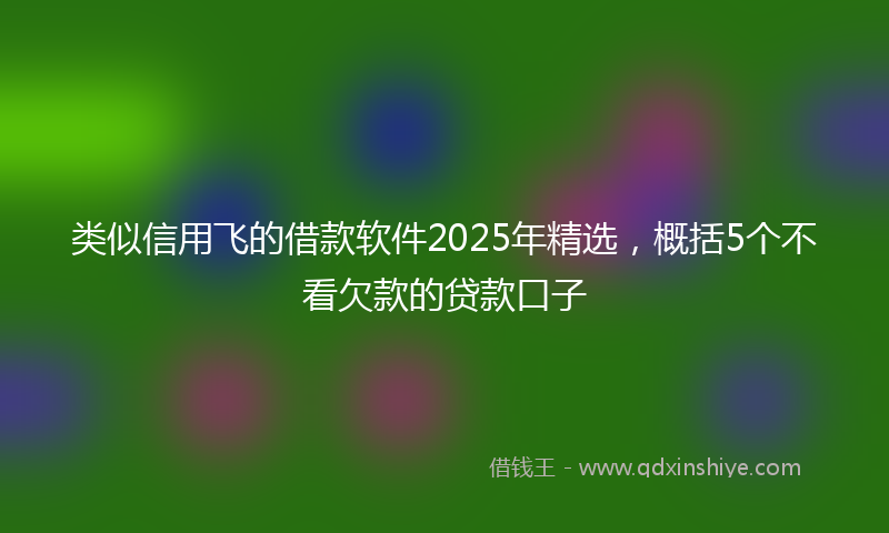 类似信用飞的借款软件2025年精选，概括5个不看欠款的贷款口子