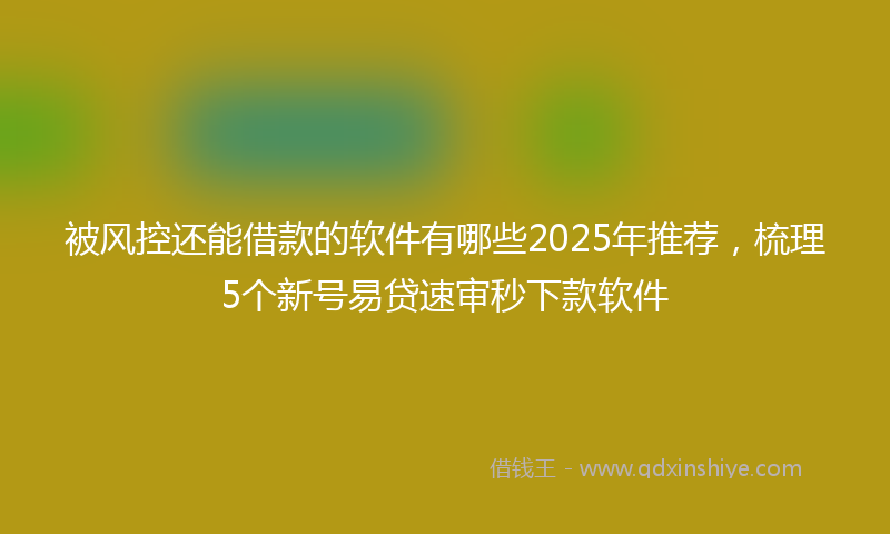 被风控还能借款的软件有哪些2025年推荐，梳理5个新号易贷速审秒下款软件