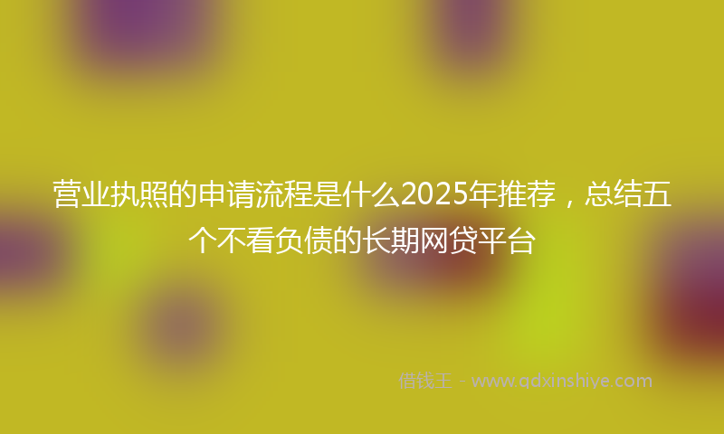 营业执照的申请流程是什么2025年推荐，总结五个不看负债的长期网贷平台