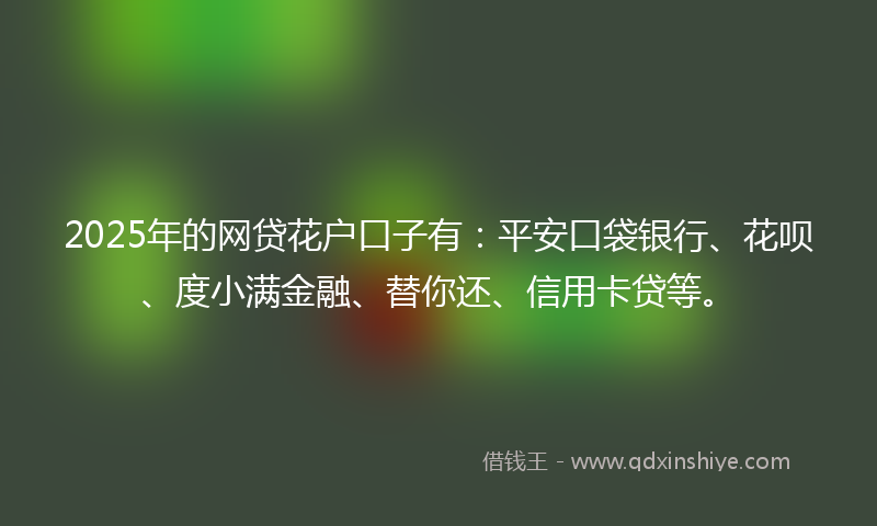 2025年的网贷花户口子有：平安口袋银行、花呗、度小满金融、替你还、信用卡贷等。