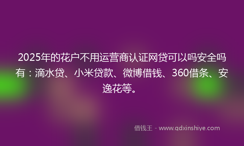 2025年的花户不用运营商认证网贷可以吗安全吗有：滴水贷、小米贷款、微博借钱、360借条、安逸花等。
