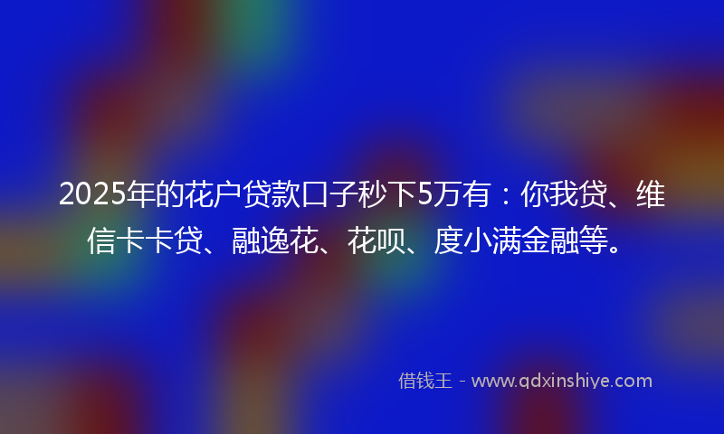 2025年的花户贷款口子秒下5万有：你我贷、维信卡卡贷、融逸花、花呗、度小满金融等。