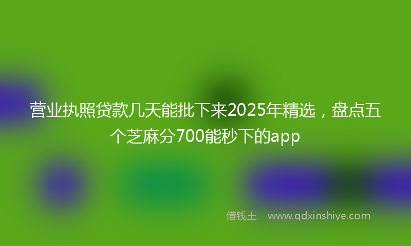 营业执照贷款几天能批下来2025年精选，盘点五个芝麻分700能秒下的app