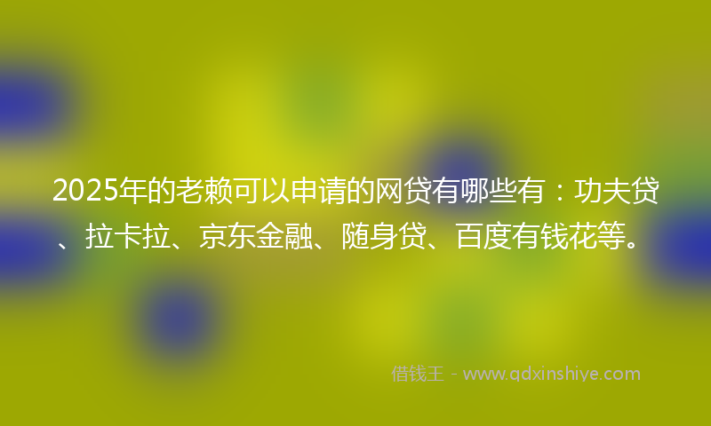 2025年的老赖可以申请的网贷有哪些有：功夫贷、拉卡拉、京东金融、随身贷、百度有钱花等。