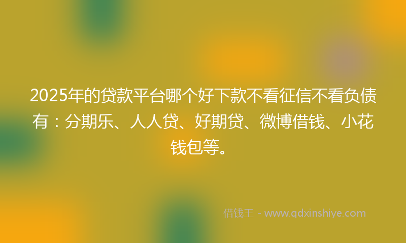2025年的贷款平台哪个好下款不看征信不看负债有：分期乐、人人贷、好期贷、微博借钱、小花钱包等。