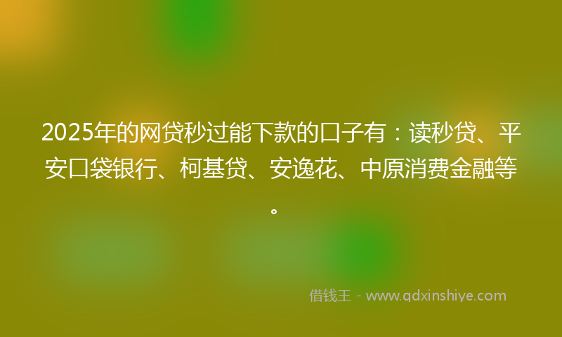 2025年的网贷秒过能下款的口子有：读秒贷、平安口袋银行、柯基贷、安逸花、中原消费金融等。