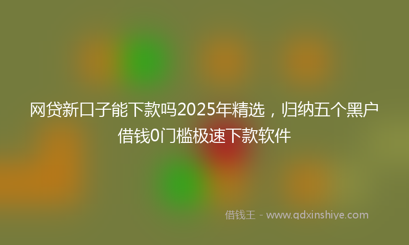 网贷新口子能下款吗2025年精选，归纳五个黑户借钱0门槛极速下款软件