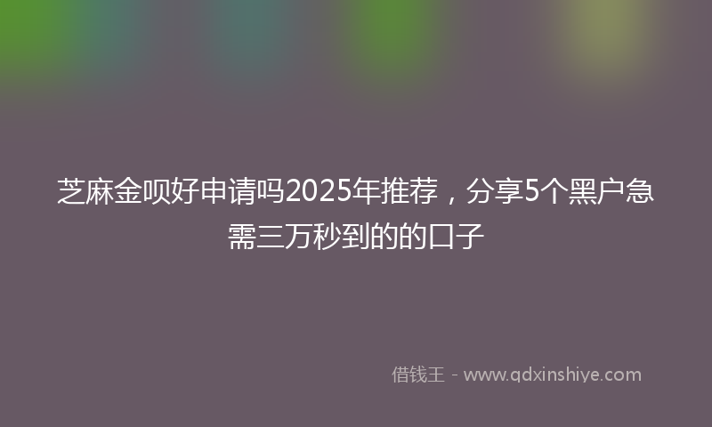 芝麻金呗好申请吗2025年推荐，分享5个黑户急需三万秒到的的口子