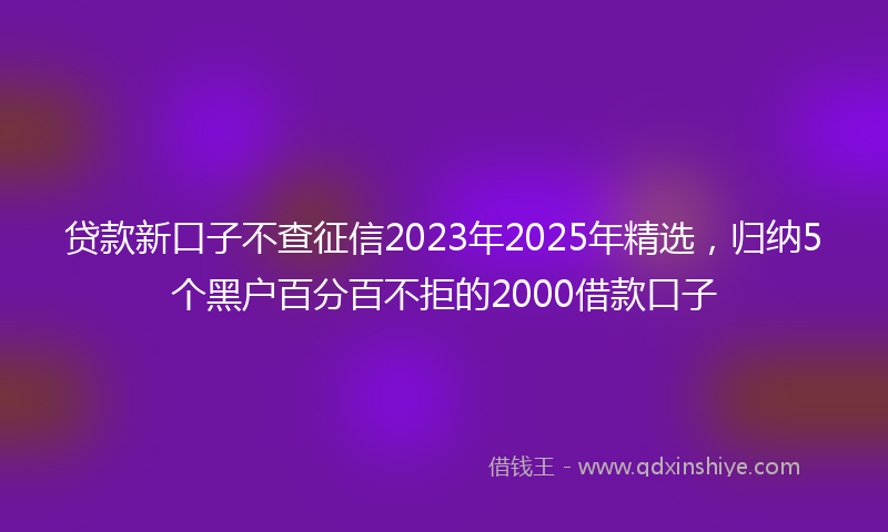 贷款新口子不查征信2023年2025年精选，归纳5个黑户百分百不拒的2000借款口子