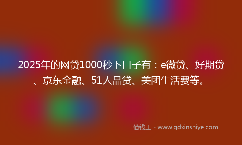 2025年的网贷1000秒下口子有：e微贷、好期贷、京东金融、51人品贷、美团生活费等。