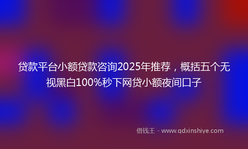 贷款平台小额贷款咨询2025年推荐，概括五个无视黑白100%秒下网贷小额夜间口子