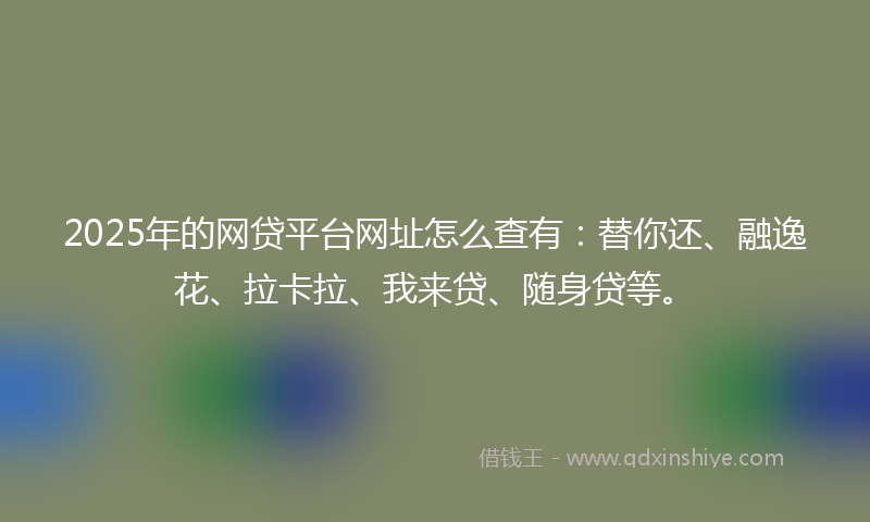2025年的网贷平台网址怎么查有：替你还、融逸花、拉卡拉、我来贷、随身贷等。