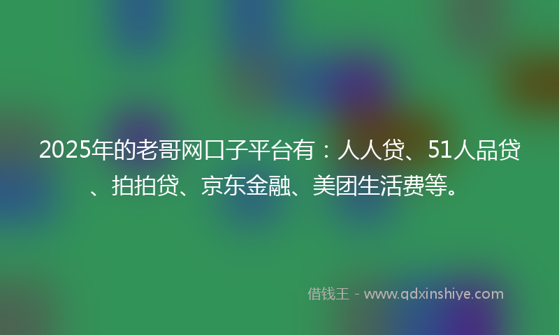2025年的老哥网口子平台有：人人贷、51人品贷、拍拍贷、京东金融、美团生活费等。