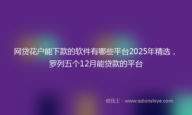 网贷花户能下款的软件有哪些平台2025年精选，罗列五个12月能贷款的平台