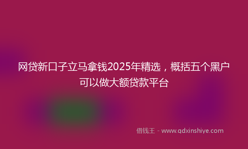 网贷新口子立马拿钱2025年精选，概括五个黑户可以做大额贷款平台