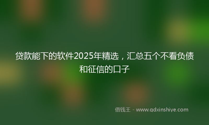 贷款能下的软件2025年精选，汇总五个不看负债和征信的口子