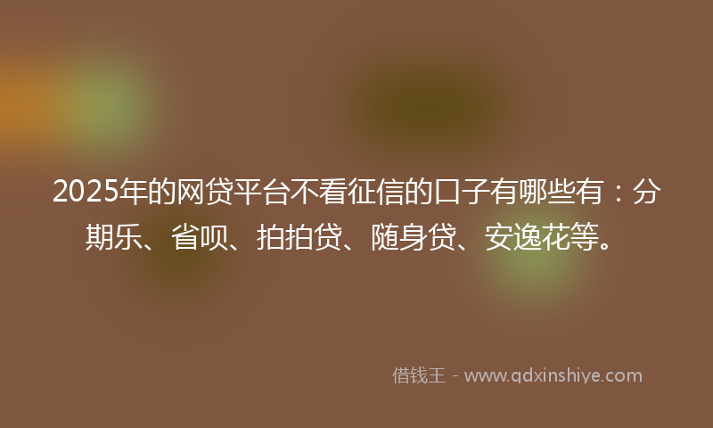 2025年的网贷平台不看征信的口子有哪些有：分期乐、省呗、拍拍贷、随身贷、安逸花等。