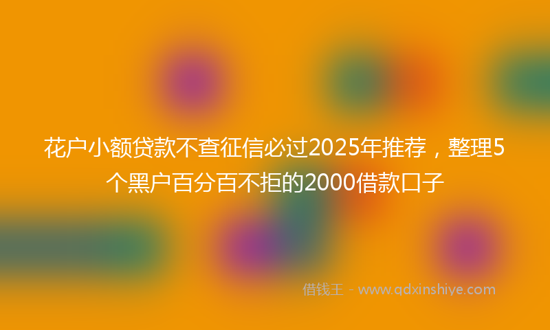 花户小额贷款不查征信必过2025年推荐，整理5个黑户百分百不拒的2000借款口子