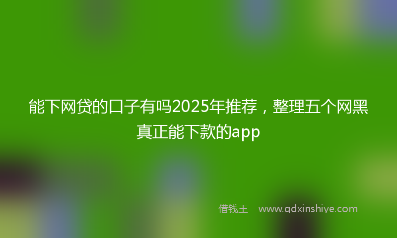 能下网贷的口子有吗2025年推荐，整理五个网黑真正能下款的app
