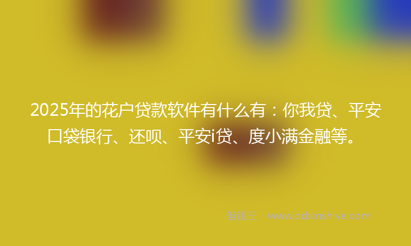 2025年的花户贷款软件有什么有：你我贷、平安口袋银行、还呗、平安i贷、度小满金融等。