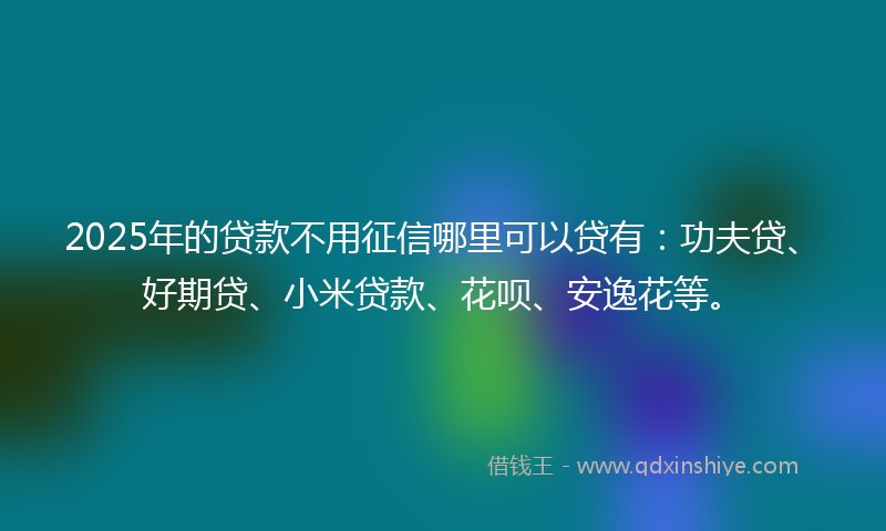 2025年的贷款不用征信哪里可以贷有：功夫贷、好期贷、小米贷款、花呗、安逸花等。