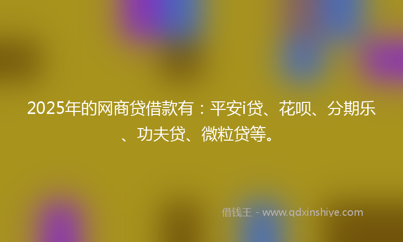 2025年的网商贷借款有：平安i贷、花呗、分期乐、功夫贷、微粒贷等。