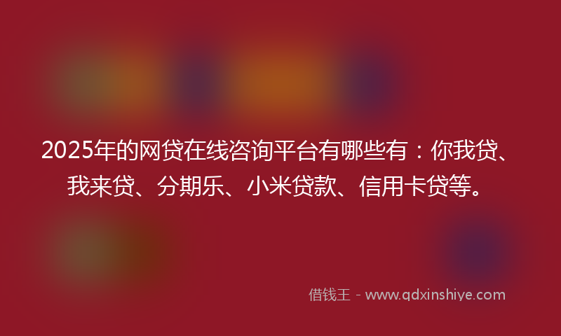 2025年的网贷在线咨询平台有哪些有：你我贷、我来贷、分期乐、小米贷款、信用卡贷等。