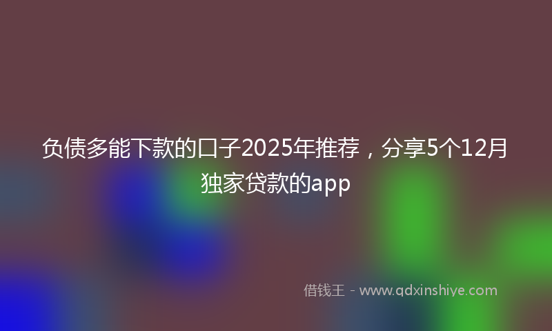负债多能下款的口子2025年推荐，分享5个12月独家贷款的app