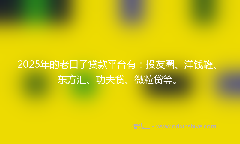 2025年的老口子贷款平台有：投友圈、洋钱罐、东方汇、功夫贷、微粒贷等。