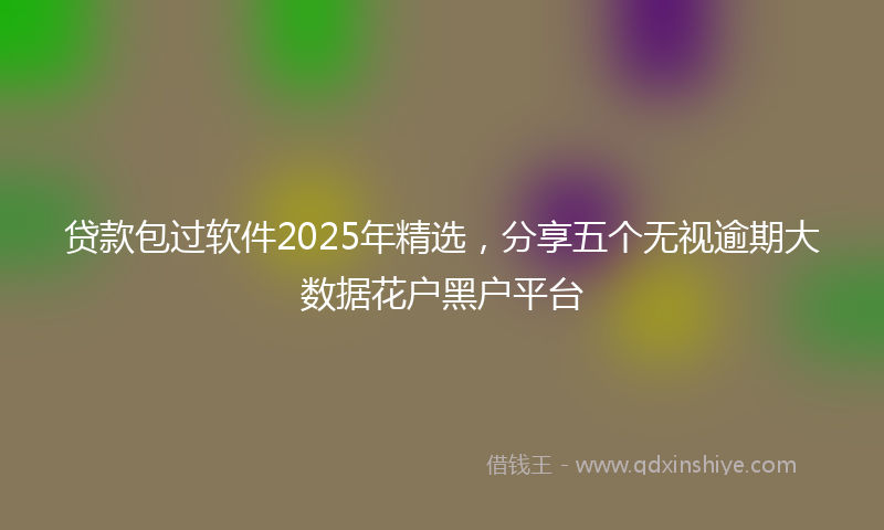 贷款包过软件2025年精选，分享五个无视逾期大数据花户黑户平台