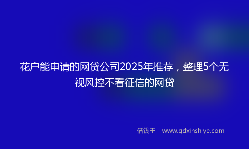 花户能申请的网贷公司2025年推荐，整理5个无视风控不看征信的网贷