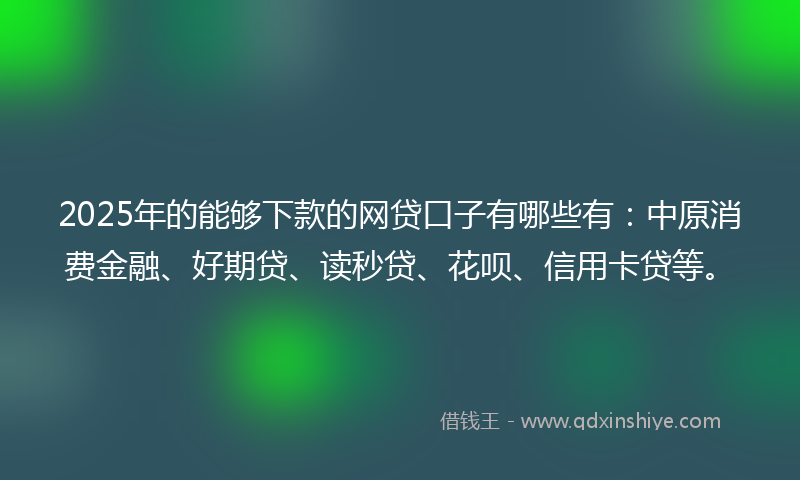 2025年的能够下款的网贷口子有哪些有：中原消费金融、好期贷、读秒贷、花呗、信用卡贷等。