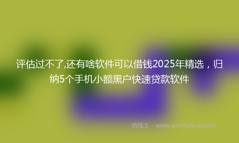 评估过不了,还有啥软件可以借钱2025年精选，归纳5个手机小额黑户快速贷款软件