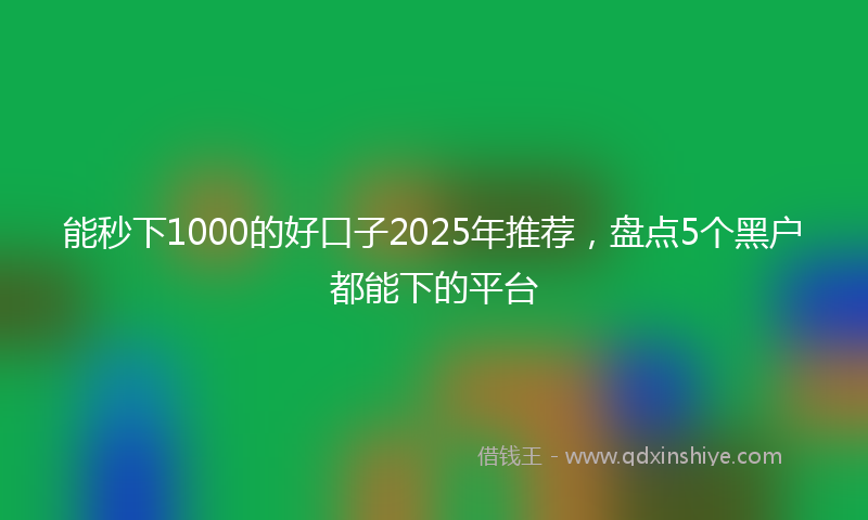 能秒下1000的好口子2025年推荐，盘点5个黑户都能下的平台