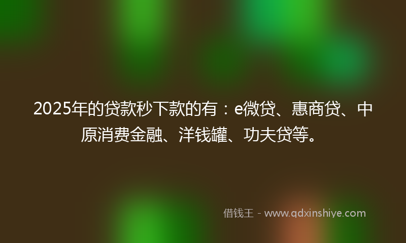 2025年的贷款秒下款的有：e微贷、惠商贷、中原消费金融、洋钱罐、功夫贷等。