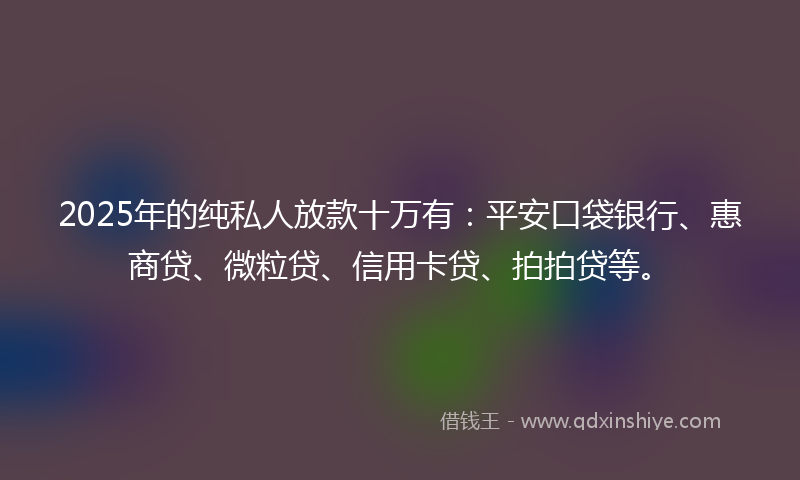2025年的纯私人放款十万有：平安口袋银行、惠商贷、微粒贷、信用卡贷、拍拍贷等。