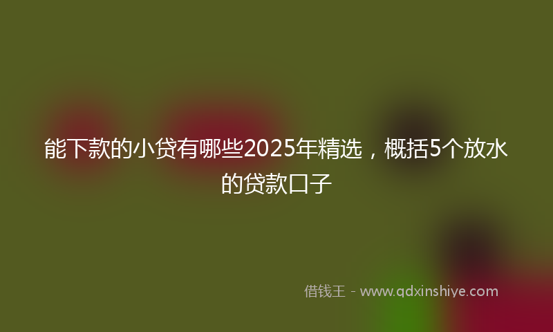 能下款的小贷有哪些2025年精选，概括5个放水的贷款口子