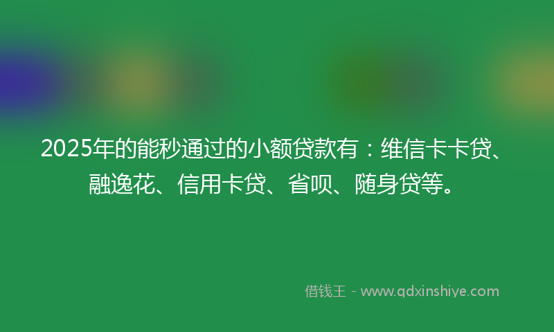 2025年的能秒通过的小额贷款有：维信卡卡贷、融逸花、信用卡贷、省呗、随身贷等。