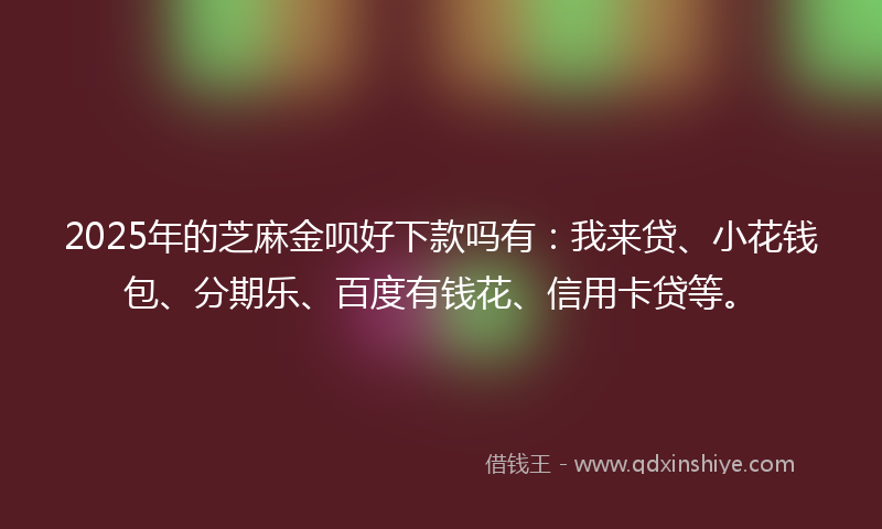 2025年的芝麻金呗好下款吗有：我来贷、小花钱包、分期乐、百度有钱花、信用卡贷等。