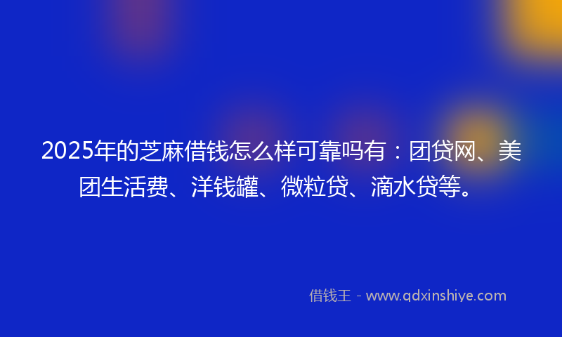 2025年的芝麻借钱怎么样可靠吗有：团贷网、美团生活费、洋钱罐、微粒贷、滴水贷等。