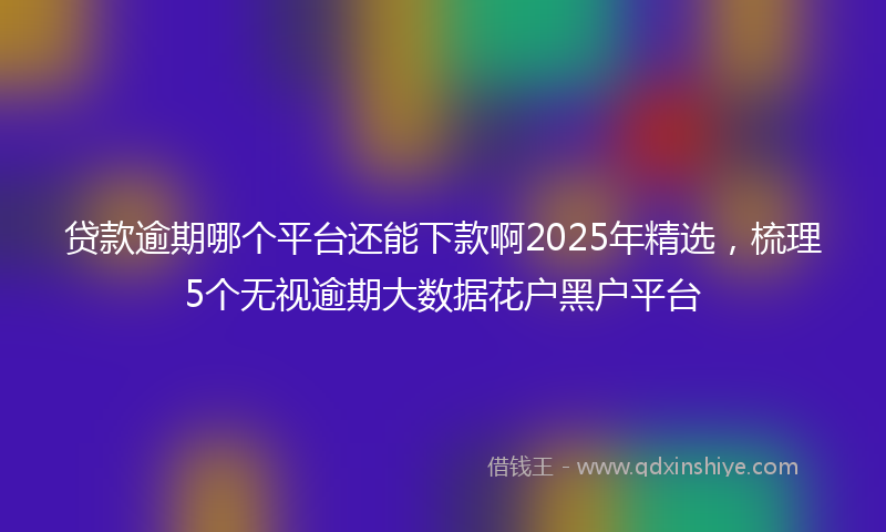 贷款逾期哪个平台还能下款啊2025年精选，梳理5个无视逾期大数据花户黑户平台