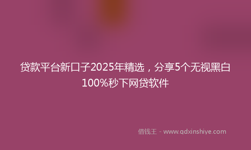 贷款平台新口子2025年精选，分享5个无视黑白100%秒下网贷软件